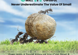 WhatsApp Image 2025 04 18 at 5.11.40 PM 1