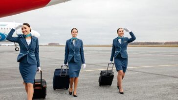 c8cc0bc36e6eb95210737b54b6d4e2c6