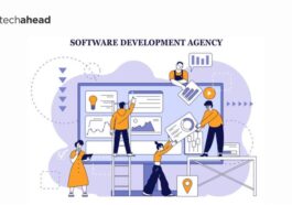 software development agency
