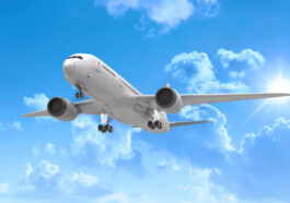 file 20240227 28 cejldv