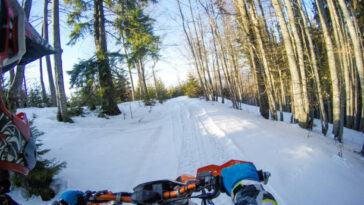 istockphoto 1280221827 612x612 1