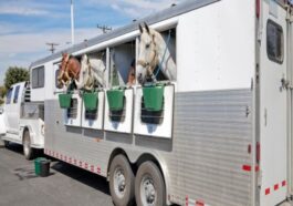Horse Trailers Market 1