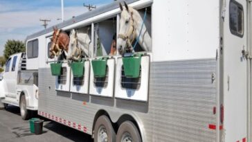 Horse Trailers Market 1