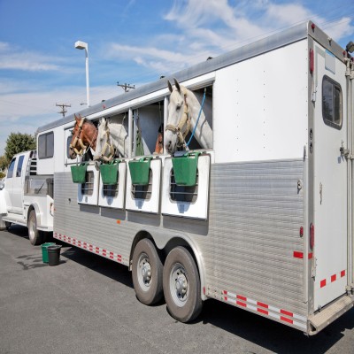 Horse Trailers Market 1