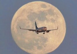 efa9bfd9 6882 4781 8889 a0919e24f625