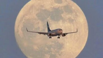 efa9bfd9 6882 4781 8889 a0919e24f625