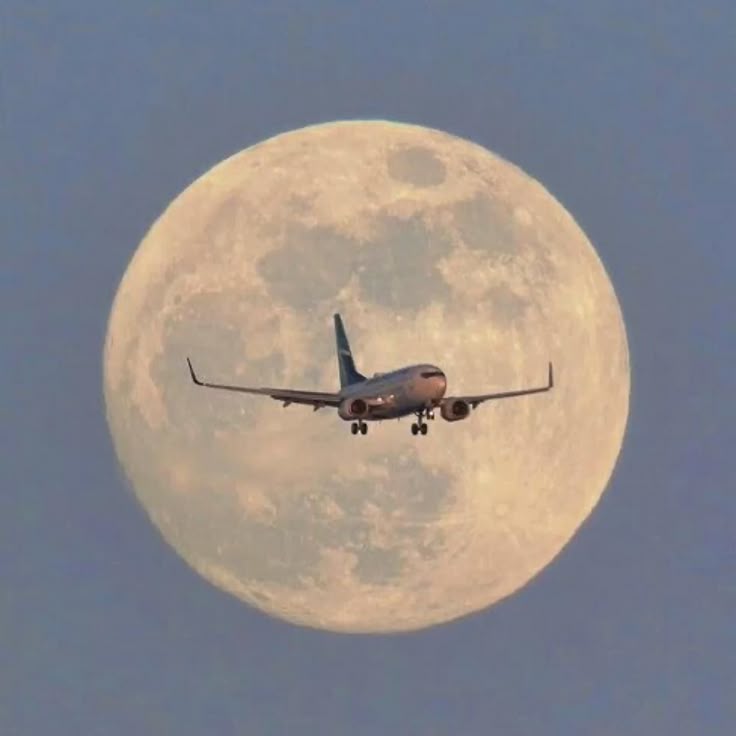 efa9bfd9 6882 4781 8889 a0919e24f625