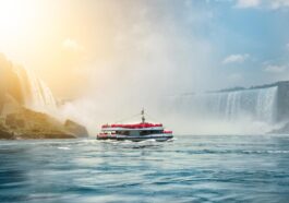 Niagara Falls Bus Tour 1