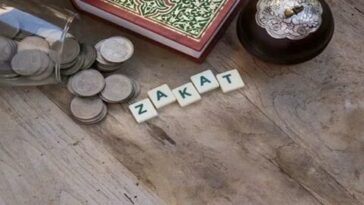 TRD8fxBaMkcRpbgS7uDx1EyZLoU4dfuP 2