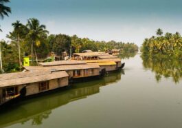 Kerala Munnar Tour Package