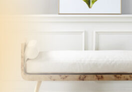 7b21ca2d e019 4fac ac02 022e03e3caf5. CR00970300 PT0 SX970