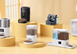 584740139 867710479100961 2415573973598686221 n1