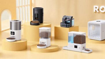 584740139 867710479100961 2415573973598686221 n1